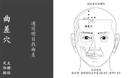 曲差穴位置|曲差穴位置 